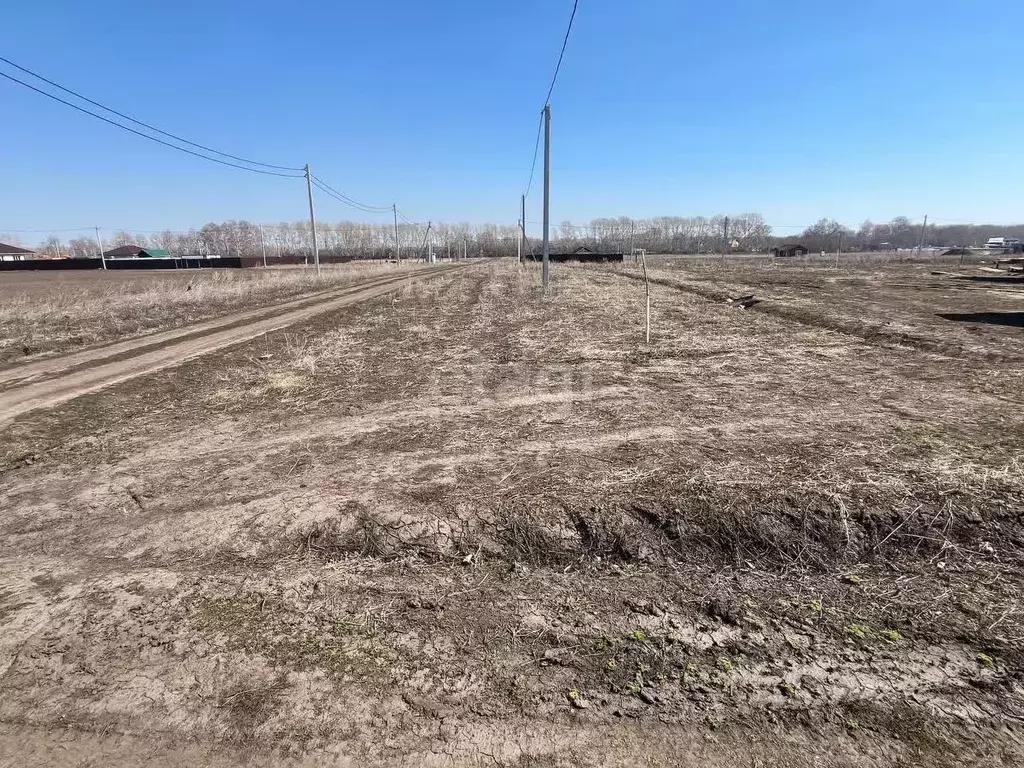 Участок в Новосибирская область, Новосибирский район, Морской ... - Фото 1