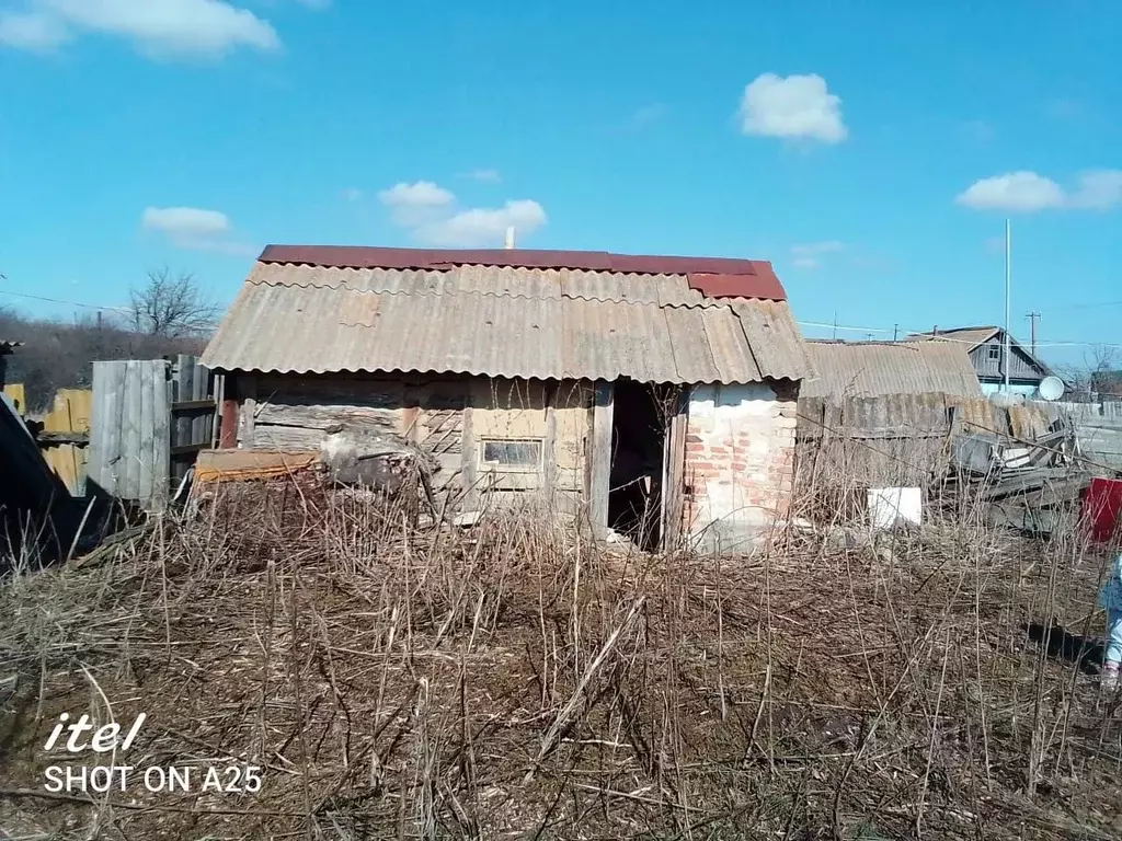 Дом в Саратовская область, Лысогорский район, с. Федоровка ул. ... - Фото 1