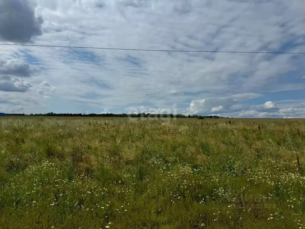 Участок в Башкортостан, Уфимский район, Михайловский сельсовет, д. ... - Фото 1