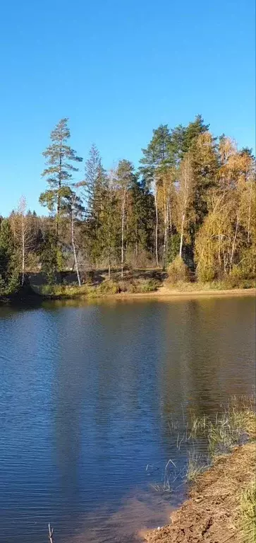 Участок 10 сот. (ИЖС) - Фото 1