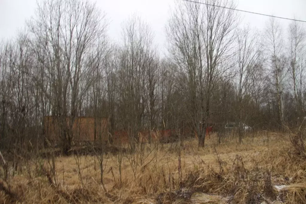 Участок в Московская область, Шаховская муниципальный округ, д. ... - Фото 1