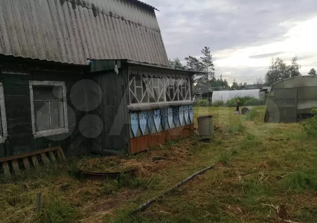 Участок 6 сот. (СНТ, ДНП) - Фото 1