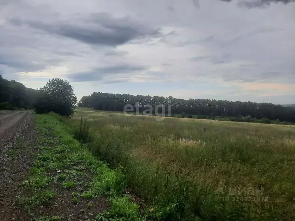 Участок в Алтайский край, Смоленский район, с. Черновая Заречная ул. ... - Фото 1