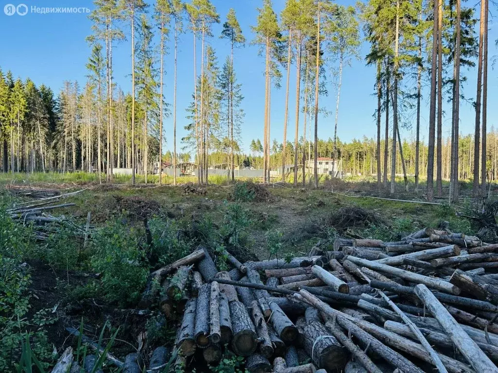 Участок в Сертоловское городское поселение, дачное некоммерческое ... - Фото 1