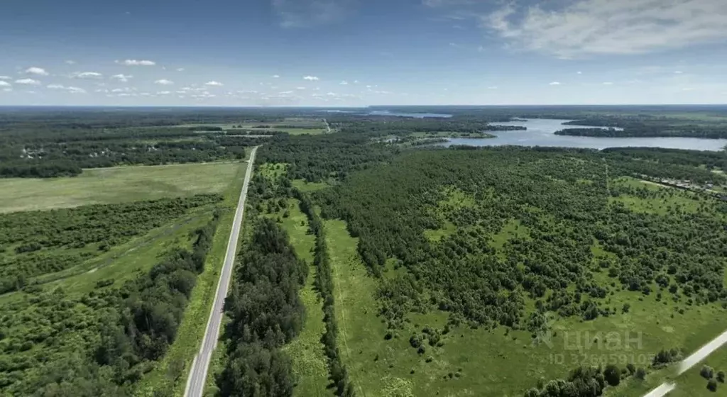 Участок в Московская область, Можайский муниципальный округ, д. ... - Фото 2