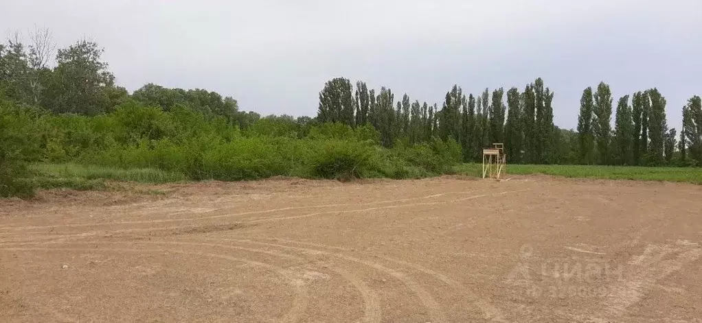 Участок в Севастополь с. Фруктовое,  (10.0 сот.) - Фото 2