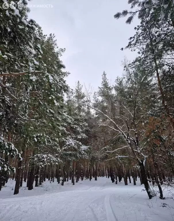 Участок в Воронеж, микрорайон Никольское, улица Глинки (6 м) - Фото 1