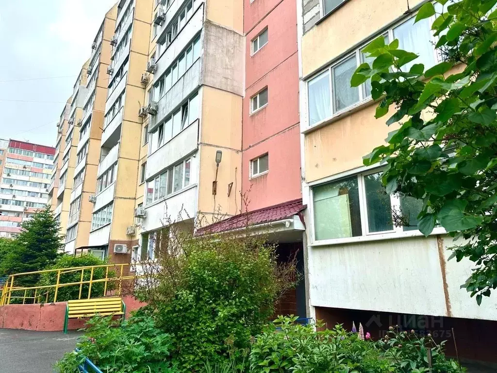 Студия Приморский край, Владивосток Русская ул., 57М (24.0 м) - Фото 1