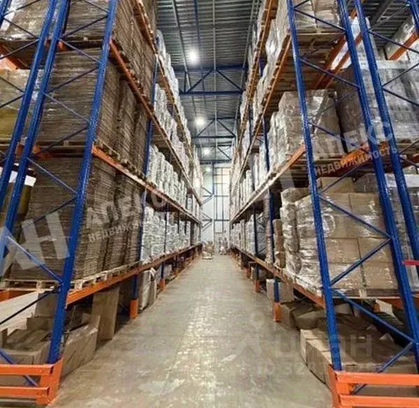 Склад в Московская область, Ленинский городской округ, Молоково пгт ... - Фото 2