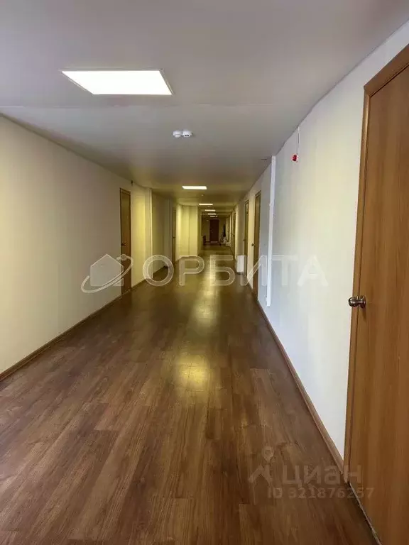 Офис в Тюменская область, Тюмень ул. Челюскинцев, 29 (82 м) - Фото 2