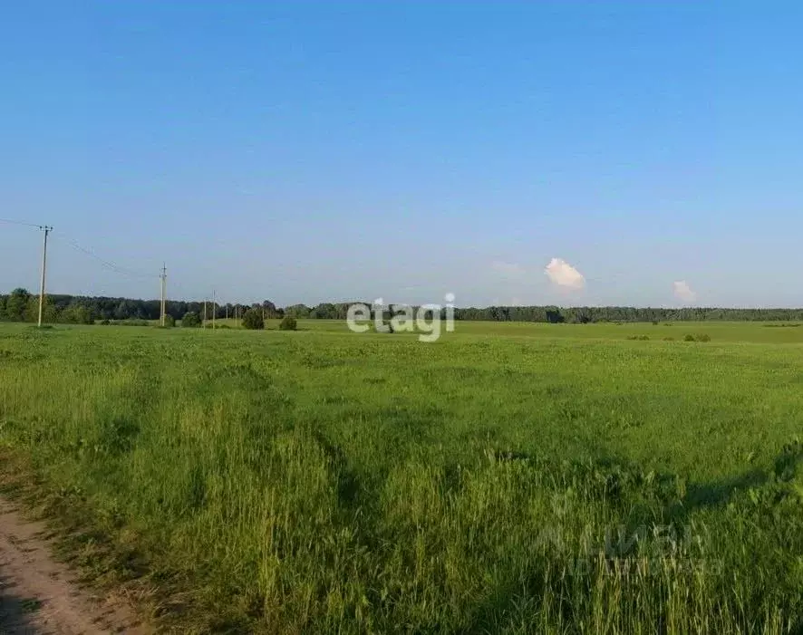 Участок в Ленинградская область, Приозерский район, Красноозерное ... - Фото 0