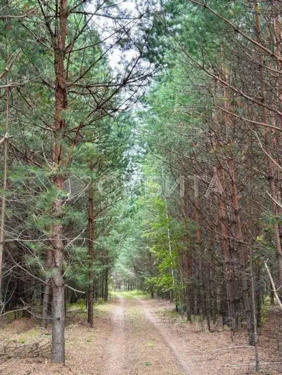 Участок в Тюменская область, Нижнетавдинский район, пос. Мияги  (10.0 ... - Фото 0