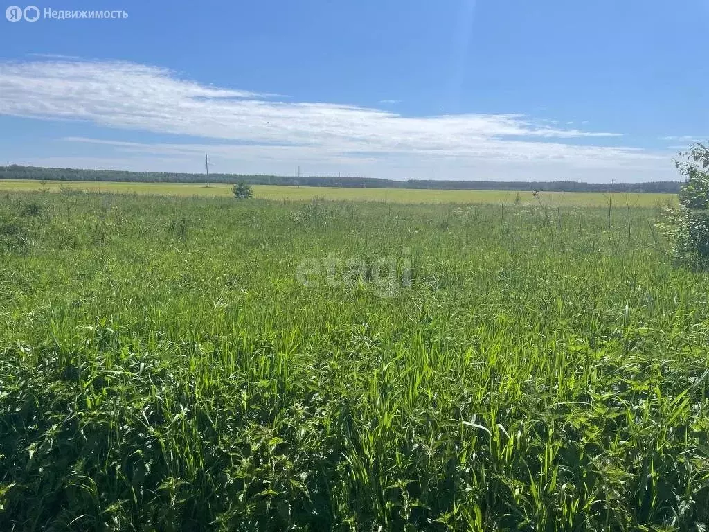 Участок в село Иваново, Луговая улица (15 м) - Фото 1