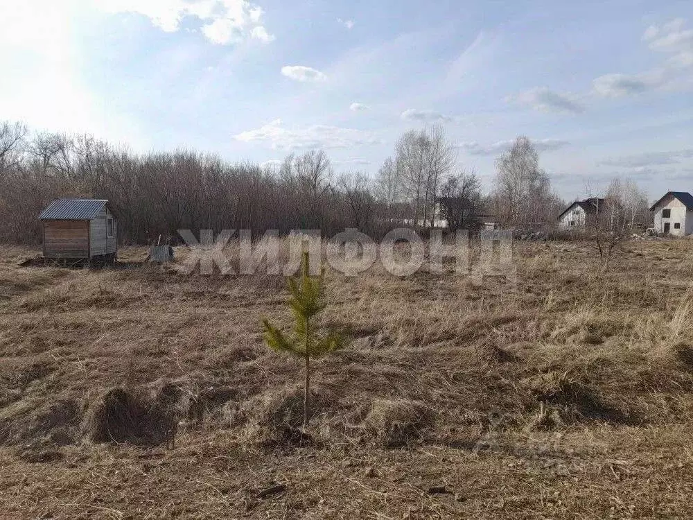 Участок в Алтайский край, Барнаул городской округ, пос. Бельмесево ул. ... - Фото 1