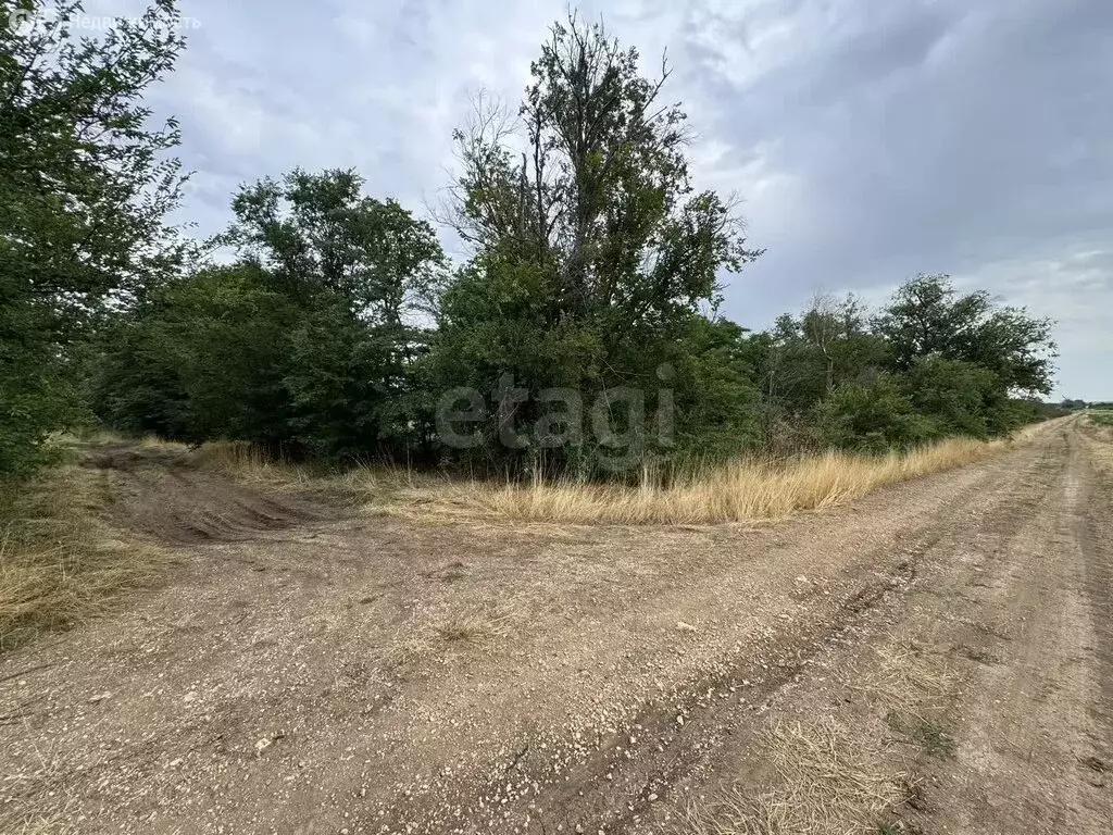 Участок в Журавское сельское поселение, село Видное, Луговая улица ... - Фото 2
