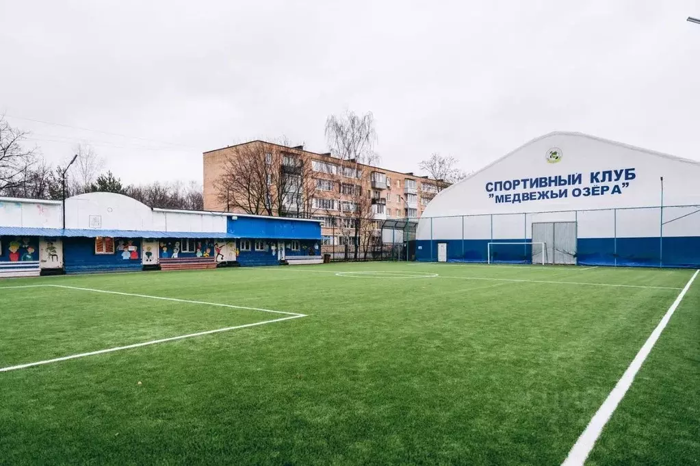 2-к кв. Московская область, Щелково городской округ, д. Медвежьи Озера ... - Фото 0