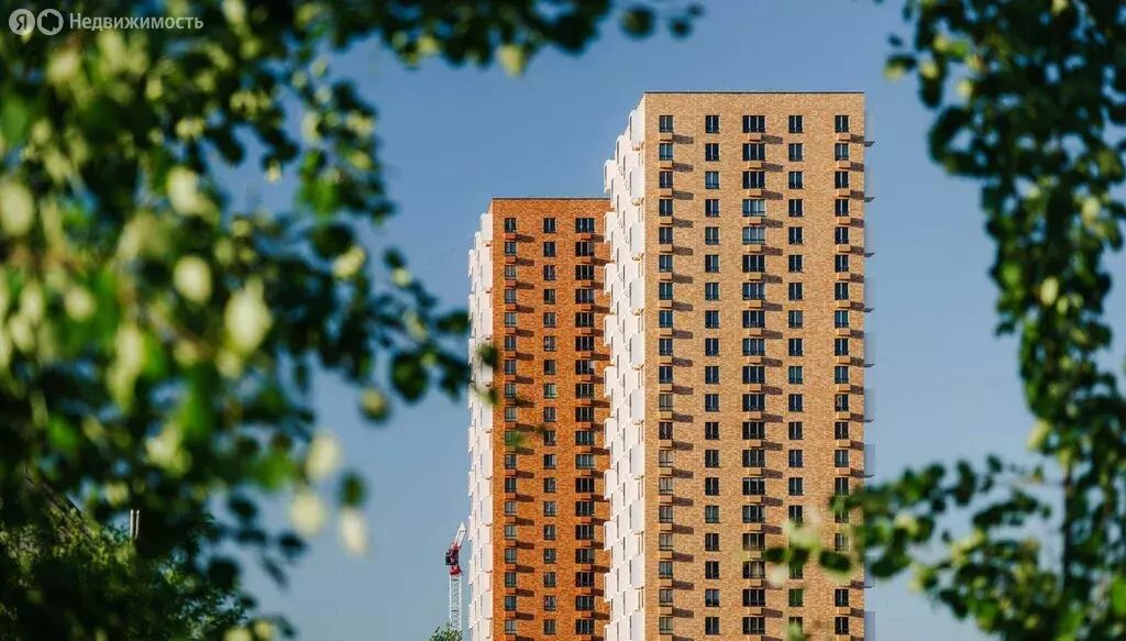 3-комнатная квартира: Санкт-Петербург, Дальневосточный проспект, 35к1 ... - Фото 2