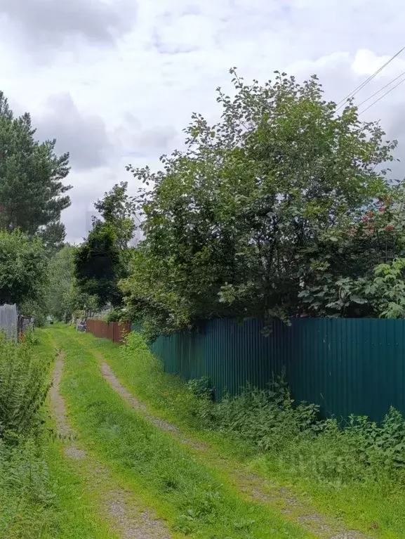 Дом в Свердловская область, Невьянский муниципальный округ, пос. Аять ... - Фото 1