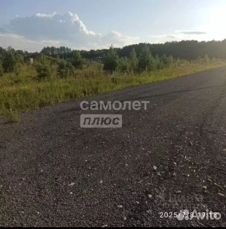 Участок в Тюменская область, Тюменский муниципальный округ, с. Кулига, ... - Фото 2