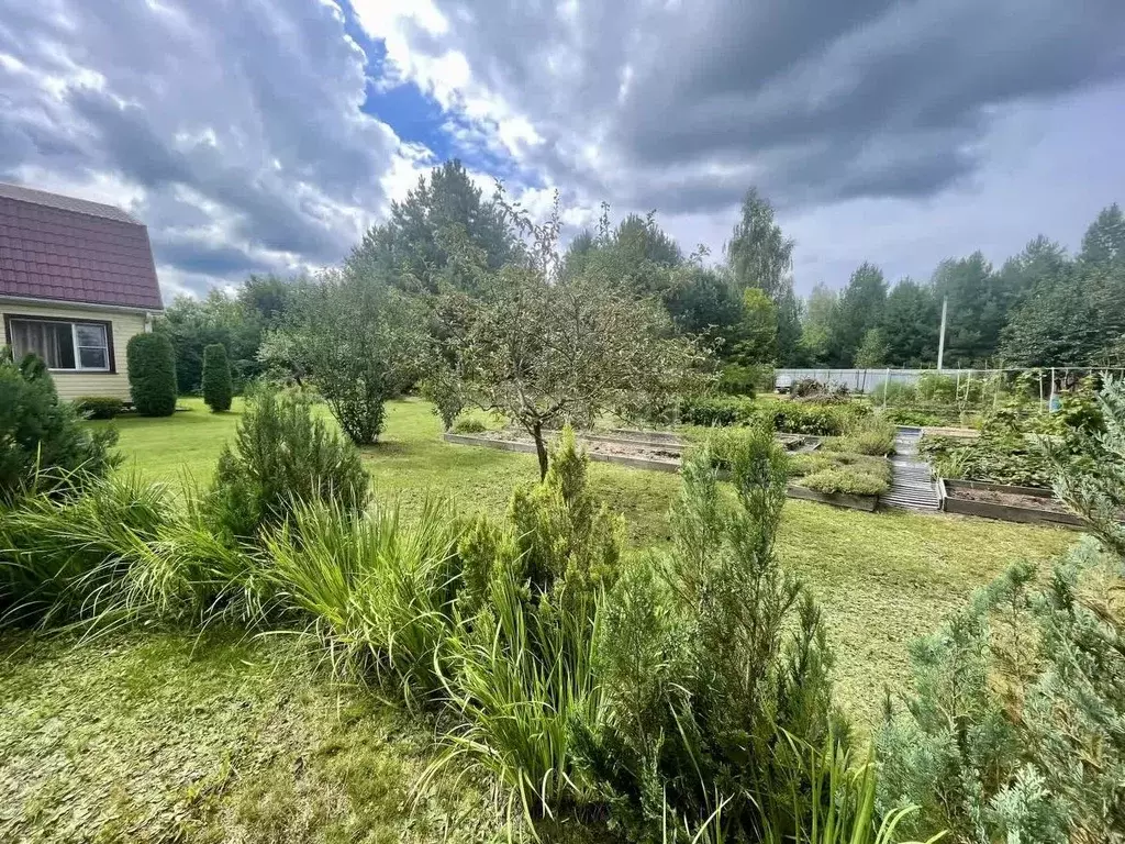 Дом в Липецкая область, Добровский муниципальный округ, с. Горицы, ... - Фото 1