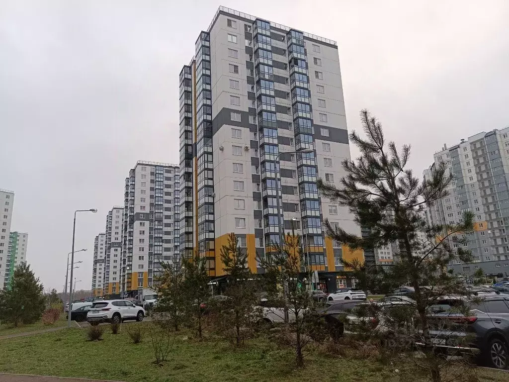 Студия Ленинградская область, Ломоносовский район, Виллозское ... - Фото 1