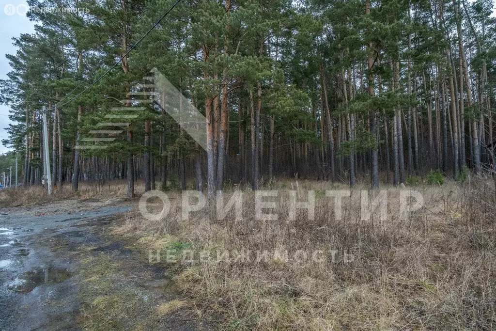 Участок в Кадниково, Заречная улица, 6 (19 м) - Фото 1