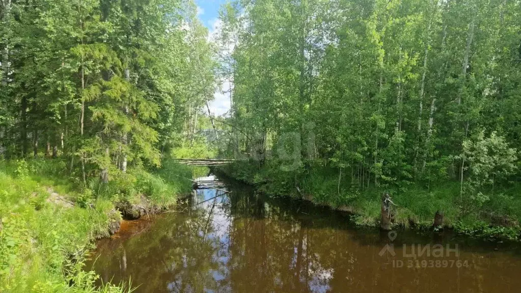 Участок в Ханты-Мансийский АО, Сургут Чернореченский садовое ... - Фото 0