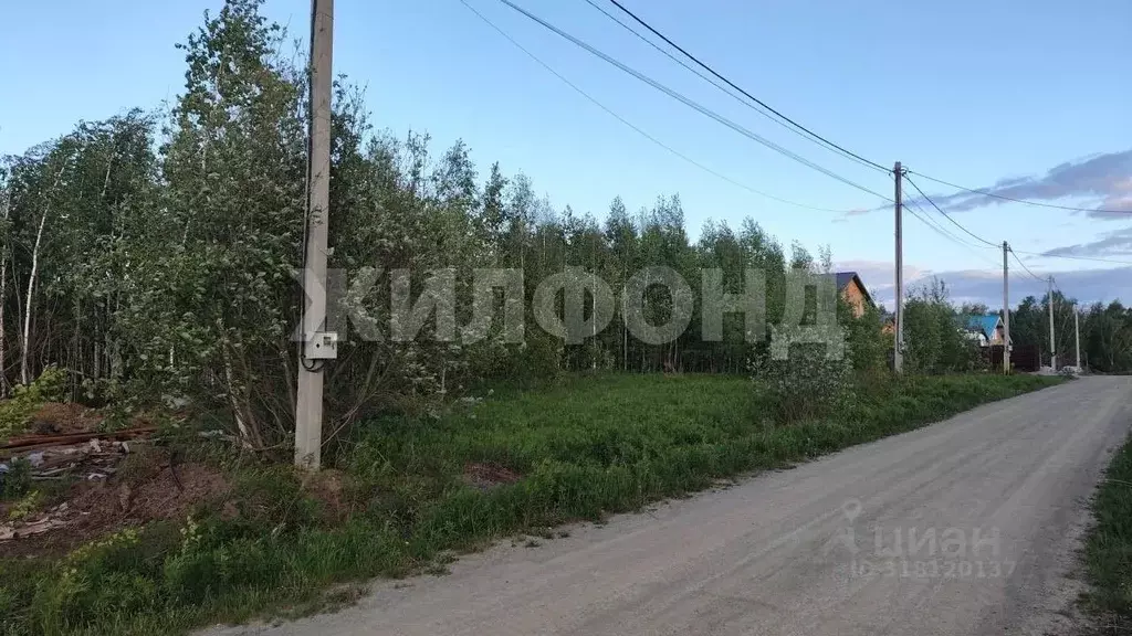 Участок в Новосибирская область, Мошковский район, пос. Октябрьский, ... - Фото 0