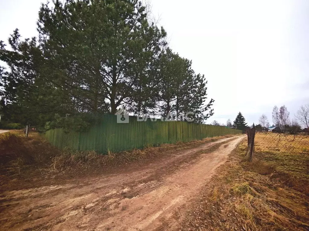 Участок в Владимирская область, Покров городской округ, д. Дубровка ... - Фото 2