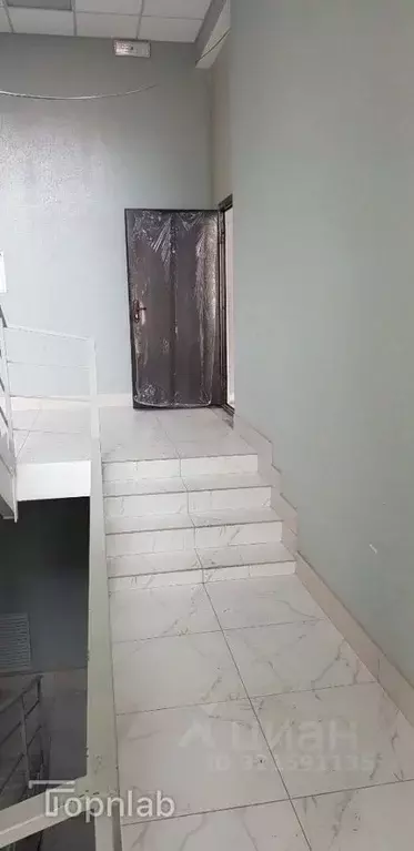 Помещение свободного назначения в Алтайский край, Барнаул ул. 1905 ... - Фото 2