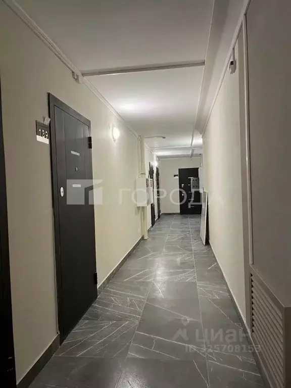 Студия Алтайский край, Барнаул ул. Никитина, 10 (25.8 м) - Фото 1