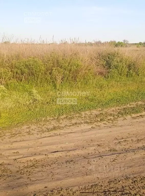 участок в саратовская область, энгельсский район, красноярское . - Фото 0