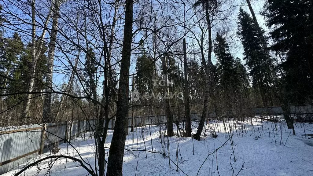 Участок в Московская область, Щелково городской округ, Планета СНТ 58 ... - Фото 1