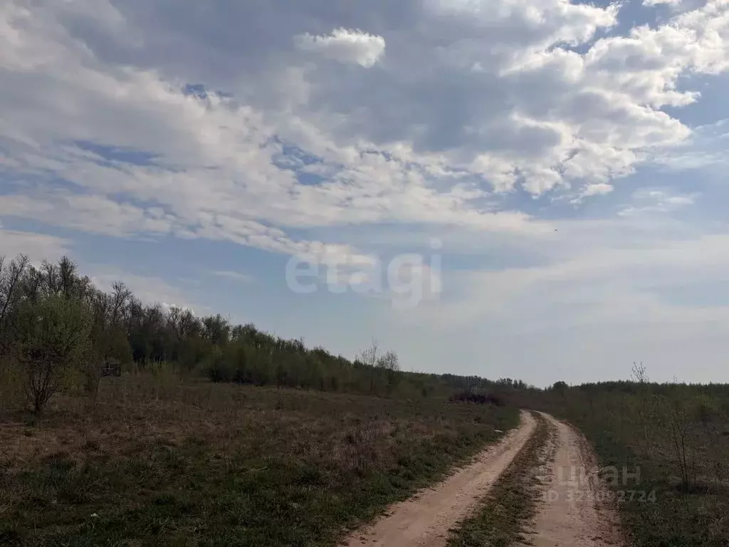 Участок в Смоленская область, Смоленск Славутич СНТ, 1502 (12.0 сот.) - Фото 2