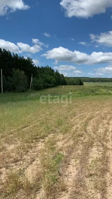 Участок в Липецкая область, Хлевенский район, Елец-Маланинский ... - Фото 1