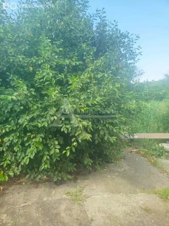 Дом в станица Подгорная, улица Луначарского (38.8 м) - Фото 0