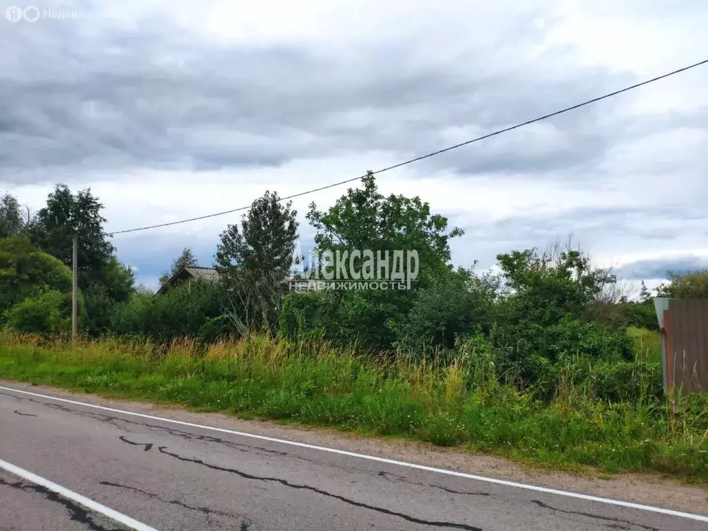 Участок в Плодовское сельское поселение, посёлок Солнечное (45 м) - Фото 2