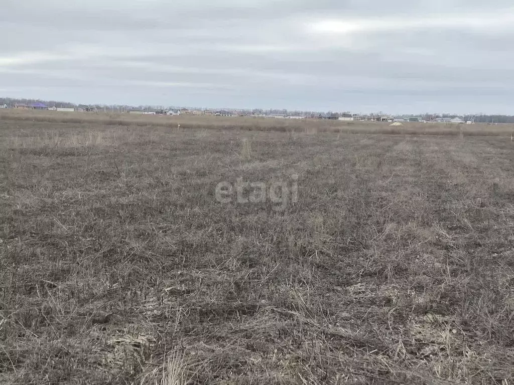 Участок в Белгородская область, Белгородский район, Хохловское с/пос, ... - Фото 1