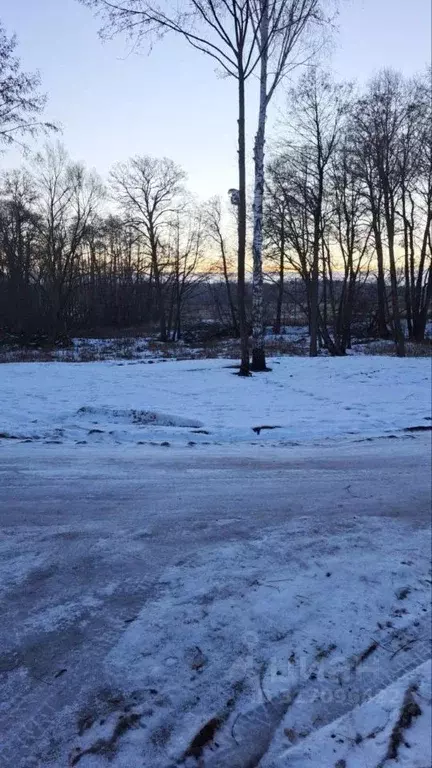 Участок в Московская область, Ступино городской округ, д. Хирино ул. ... - Фото 0