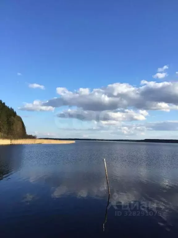 Дом в Тверская область, Осташковский муниципальный округ, д. ... - Фото 1