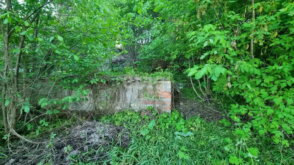 Участок в Воронежская область, Воронеж Ладожская ул. (8.3 сот.) - Фото 1