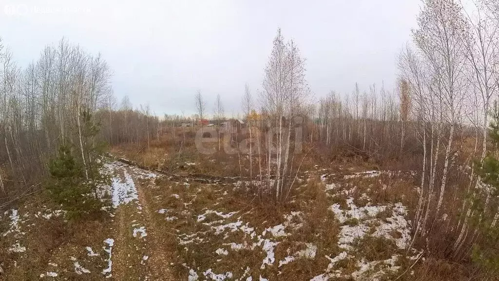 Участок в Тюменский район, посёлок городского типа Богандинский (17 м) - Фото 1