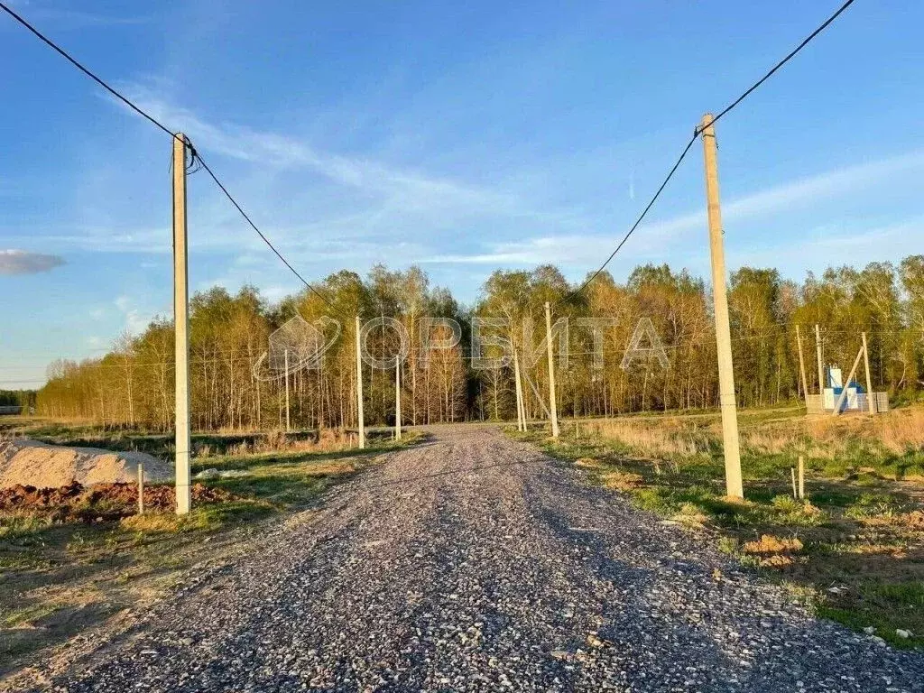 Участок в Тюменская область, Тюменский район, с. Каменка, Завидово кп ... - Фото 1