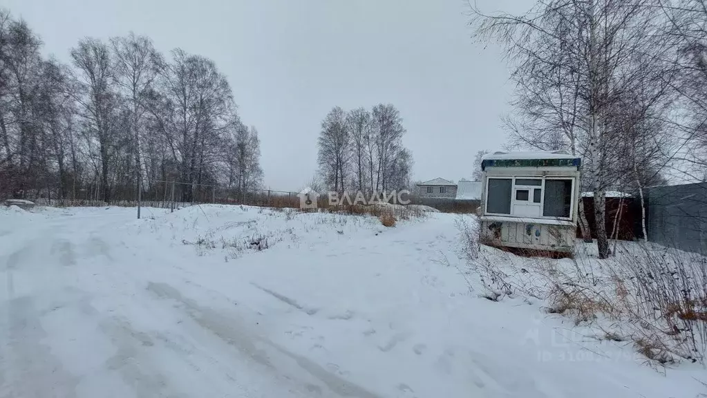 Участок в Новосибирская область, Новосибирский район, Станционный ... - Фото 0