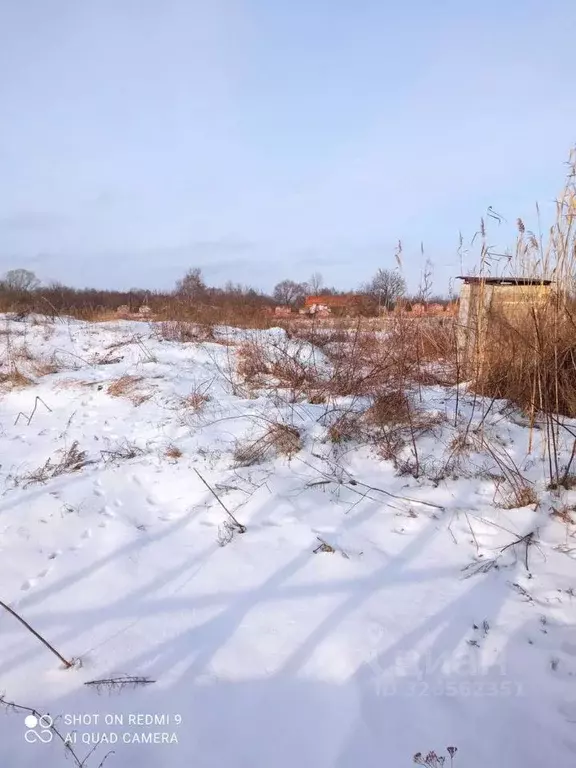 Участок в Воронежская область, Новоусманский район, Хреновское с/пос, ... - Фото 1