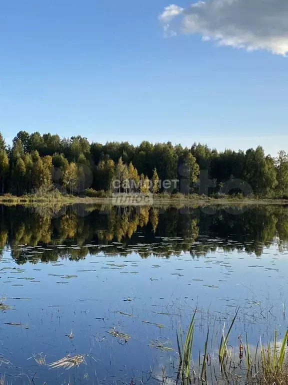 Участок 16,5 сот. (ИЖС) - Фото 1