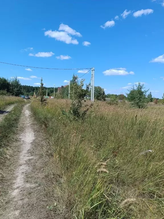 Участок в Липецкая область, Задонский муниципальный округ, д. Тешевка  ... - Фото 2