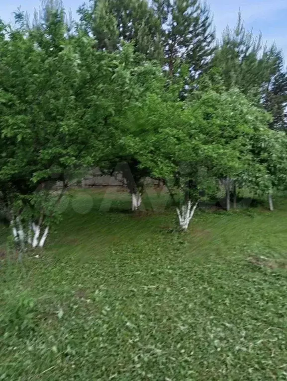 Коттедж в Красноярский край, Балахтинско-Новоселовский муниципальный ... - Фото 2