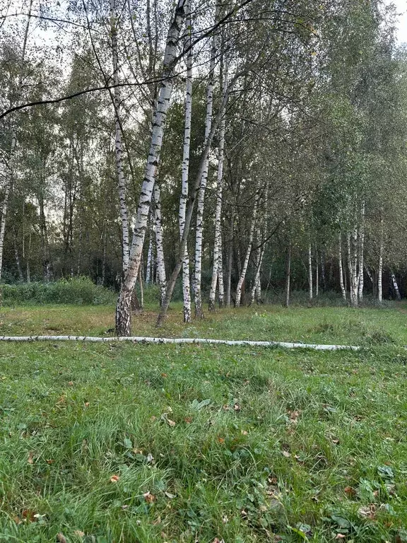 Участок в деревня Колонтаево, улица Новая Слобода, 14 (7 м) - Фото 1