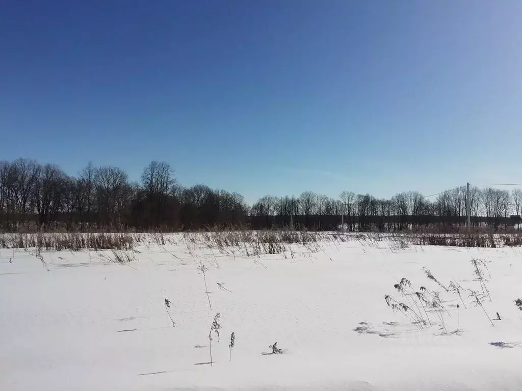 Участок в Оренбургская область, Оренбург ул. Астронавтов (15.0 сот.) - Фото 2